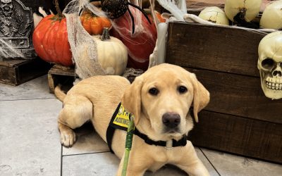 Andie | October 2025