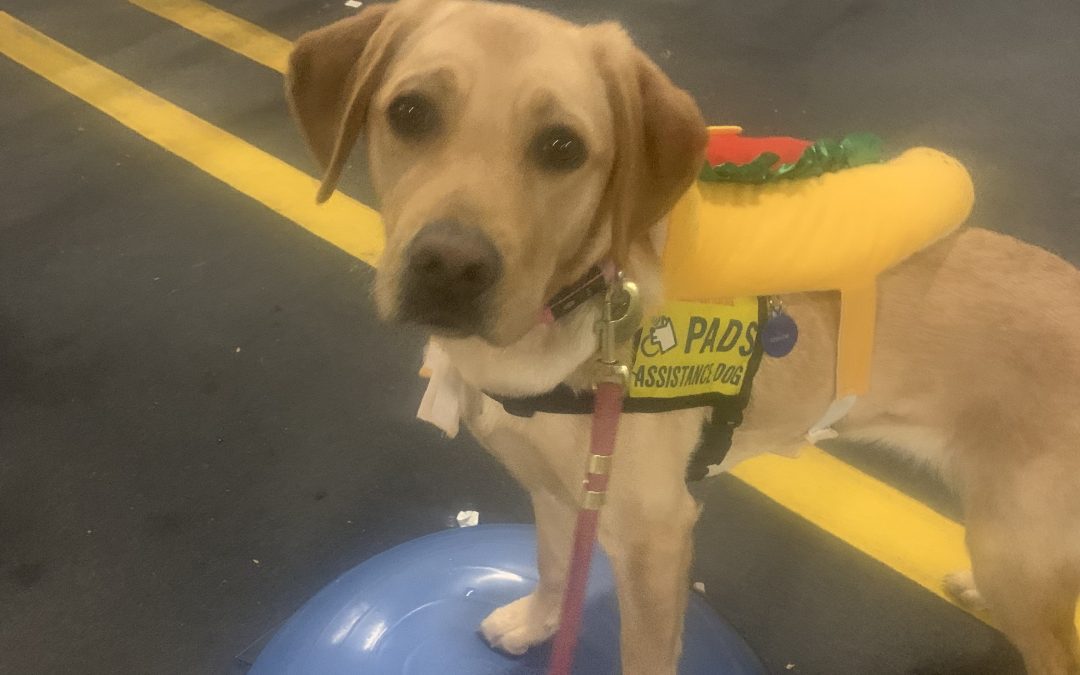 Goaldie | October 2025