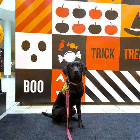 Max | October 2025