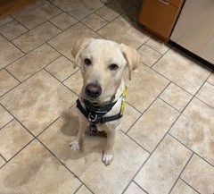 Kashtin | October 2025