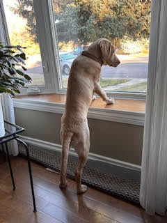 Lavie | October 2025