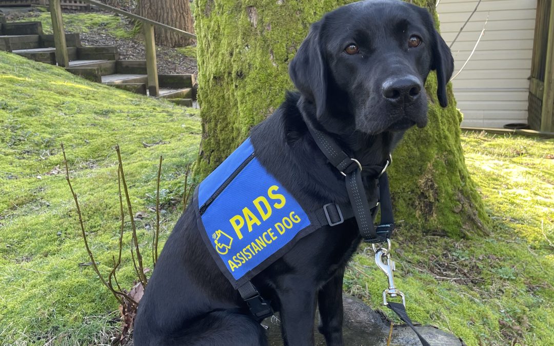 Maeve | October 2025