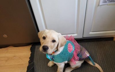 Seven II | October 2025