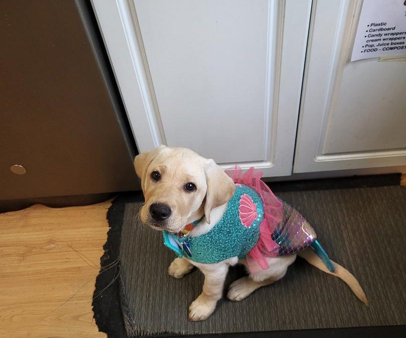 Seven II | October 2025