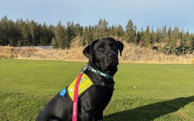 Milos | October 2025