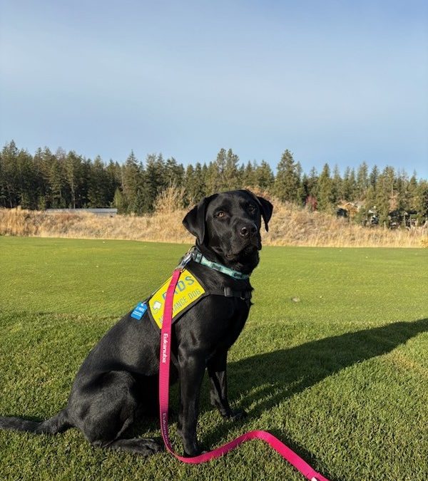 Milos | October 2025