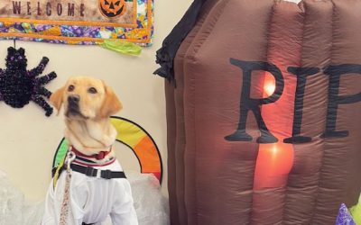 Mozza | October 2025