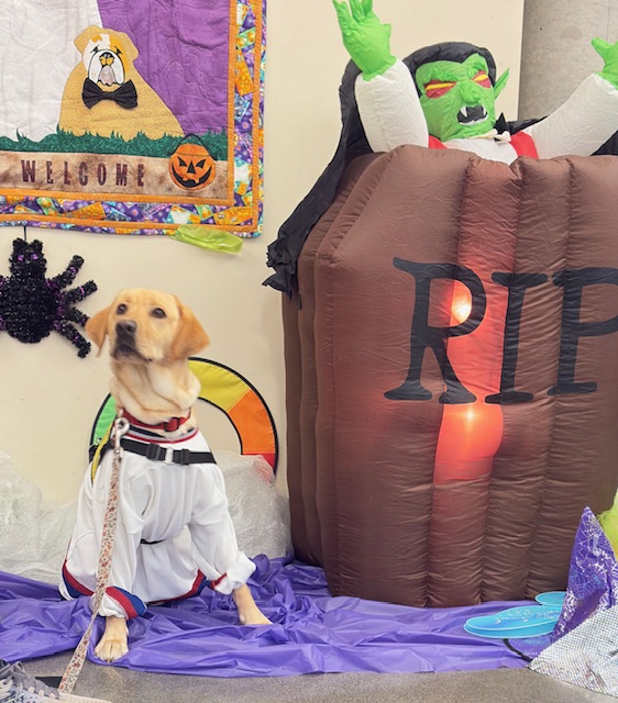 Mozza | October 2025