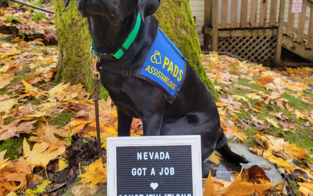 Nevada | November 2025