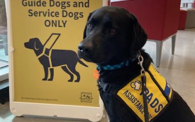 Puzzle | October 2025