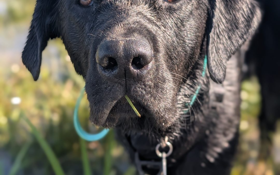 Ripto | September 2025