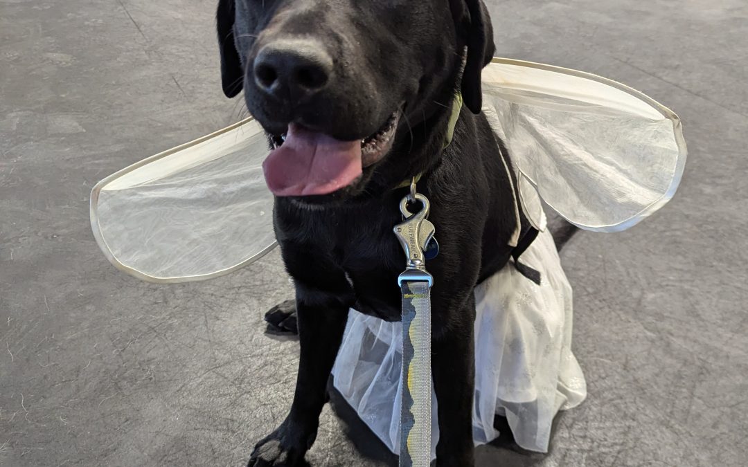 Hunter II | October 2025