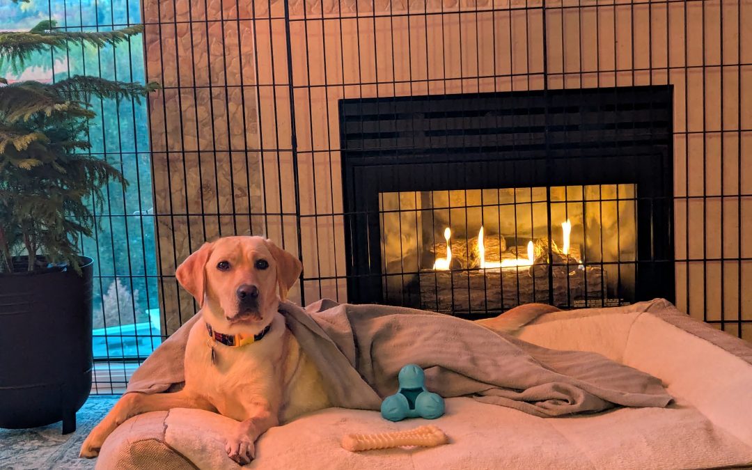 Patty | October 2025