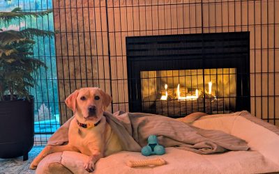 Patty | October 2025