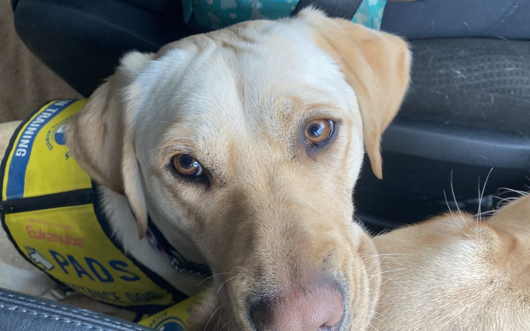 Quinoa | October 2025