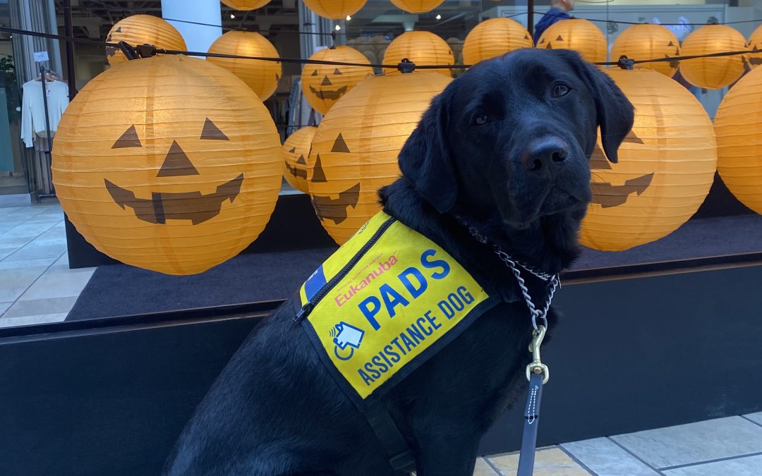 Reece | October 2025