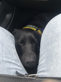 Rimbey | November 2025