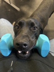 Rimbey | October 2025