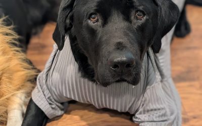 Ripto | October 2025