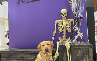 Rufous | October 2025