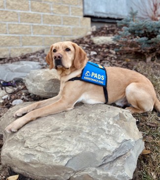 Shah | November 2025