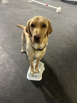 Sokka | November 2025