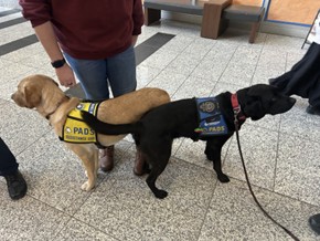 Sokka | October 2025