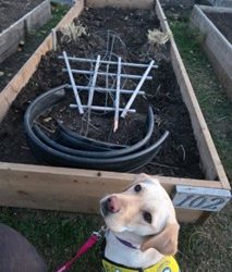 Sylvan II | October 2025