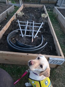 Sylvan II | October 2025