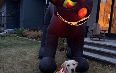 Tattor | October 2025