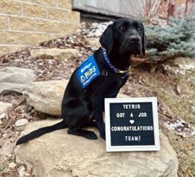 Tetris | October 2025