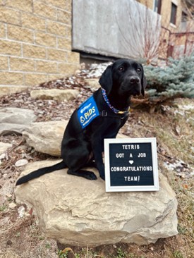 Tetris | October 2025