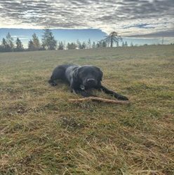 Valentino | October 2025