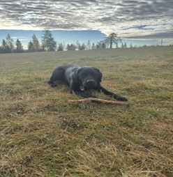 Valentino | October 2025