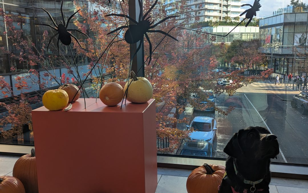 Zephyr II | October 2025