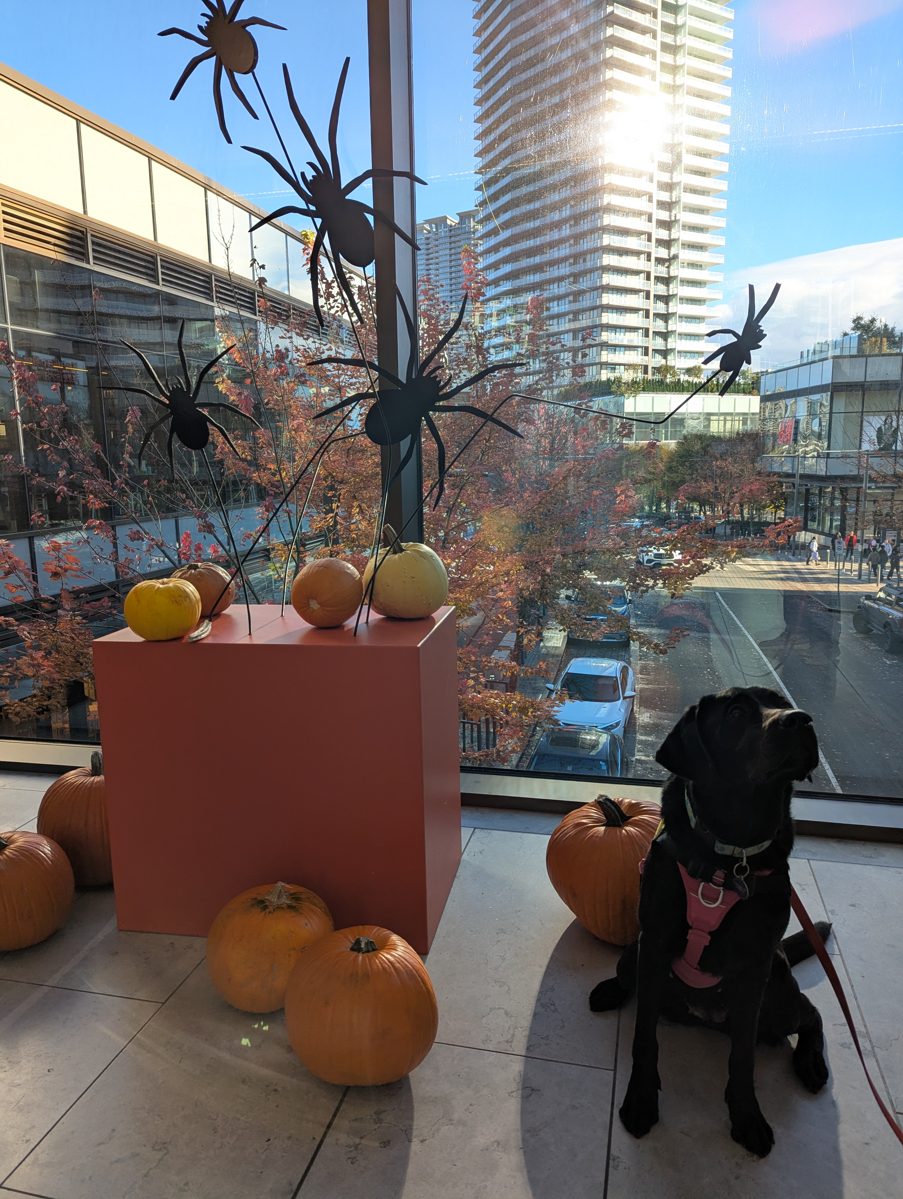 Zephyr II | October 2025