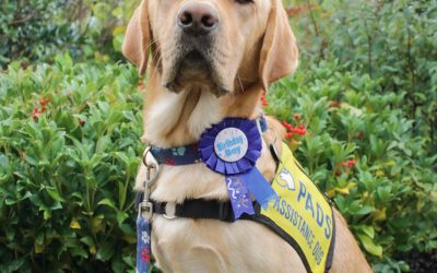 Casper | October 2025