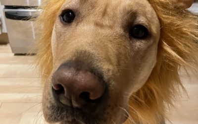 Elora | October 2025