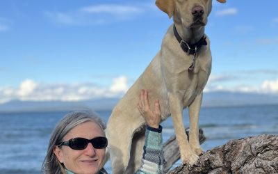 Tesla | Ooctober 2025