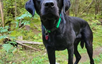 Nevada | October 2025