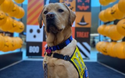 Sesame | October 2025