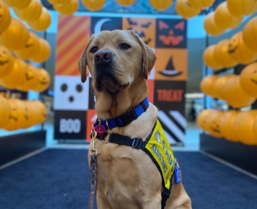 Sesame | October 2025