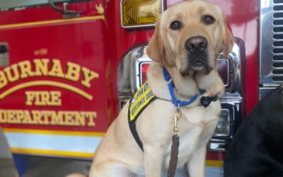 Marsh II | October 2025