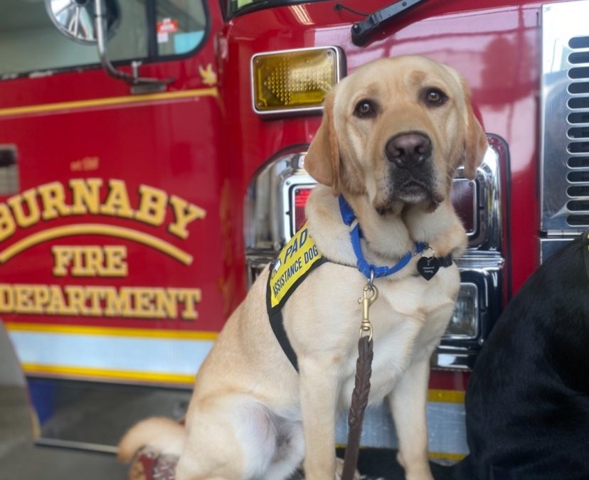 Marsh II | October 2025