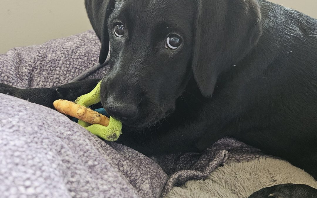 Maren | November 2025