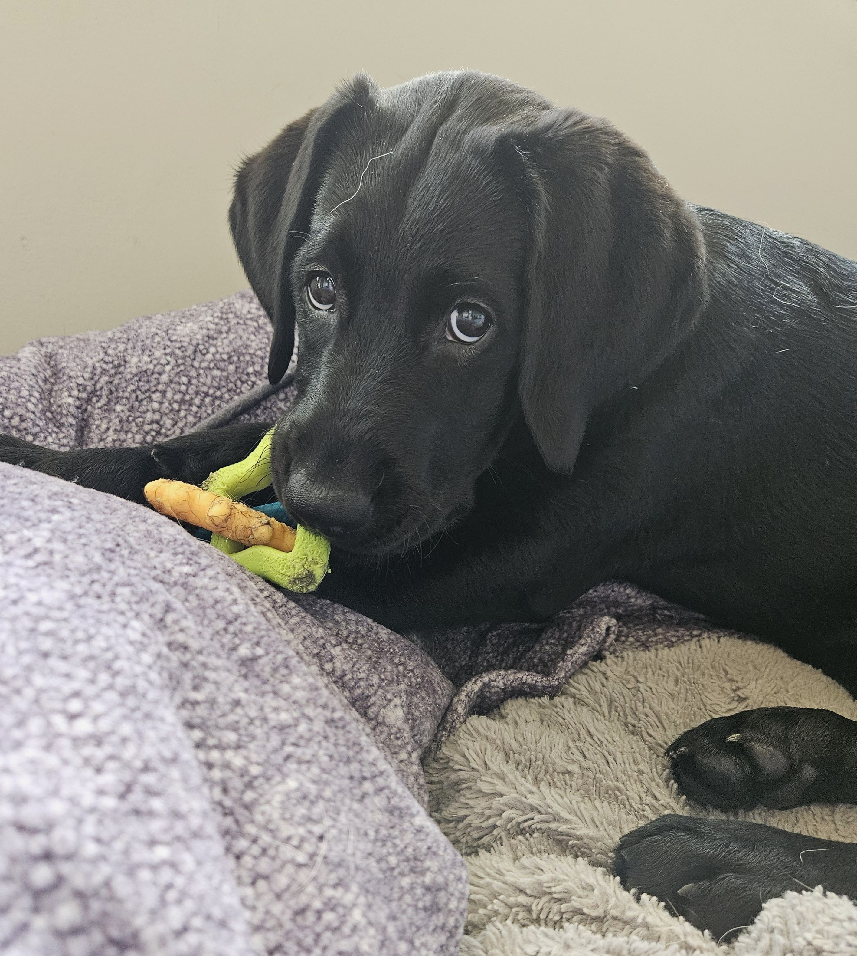 Maren | November 2025