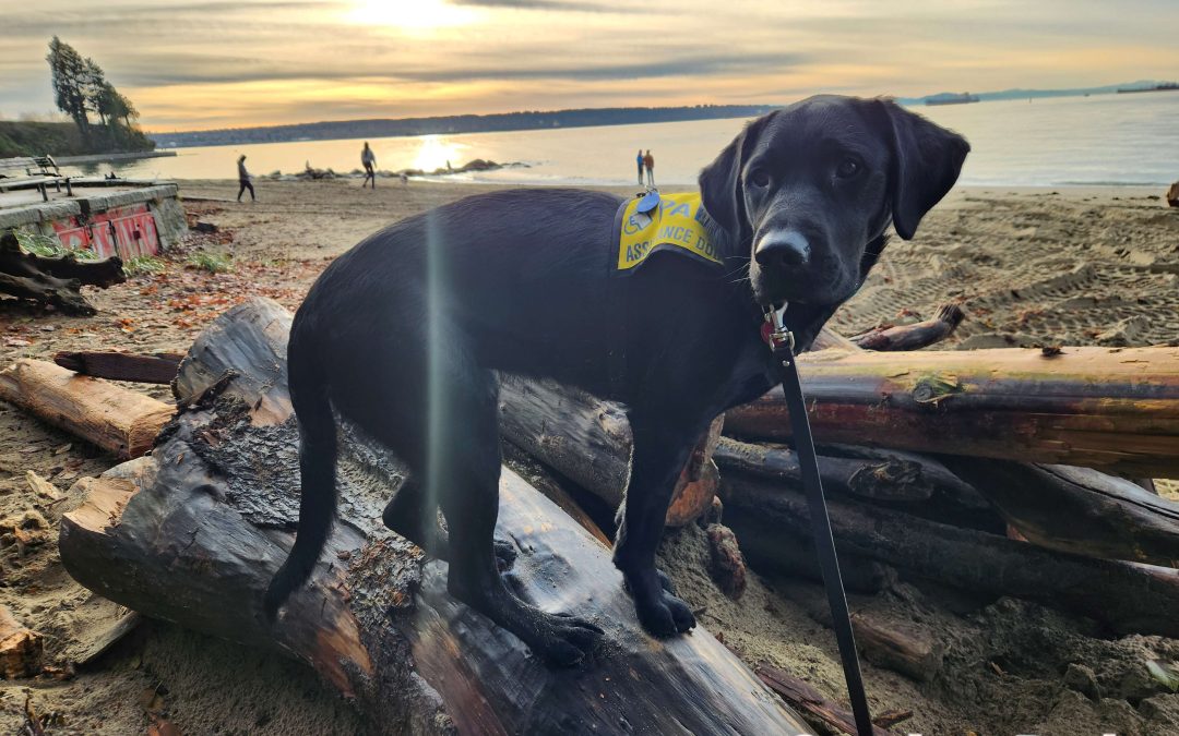 Kiyoko | November 2025