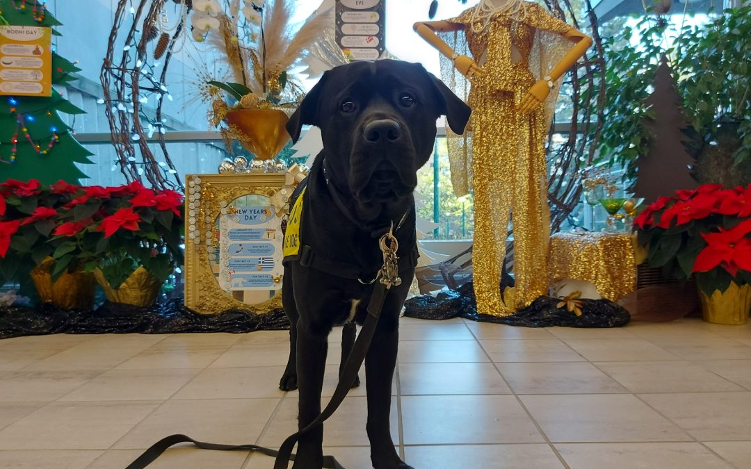 Furrow | December 2025