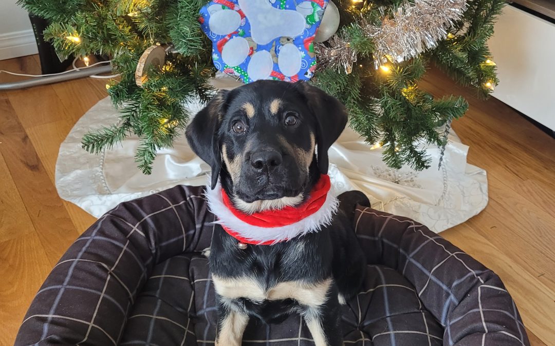 Stetson II | December 2025