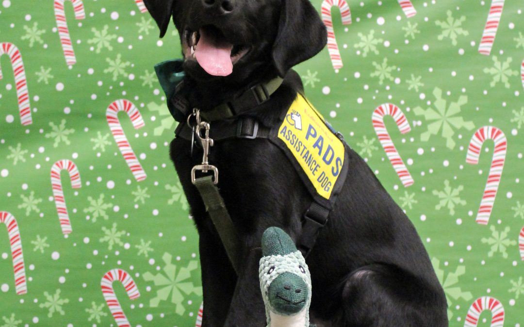 Bubba II | December 2025